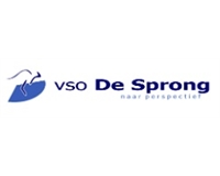Logo VSO de Sprong